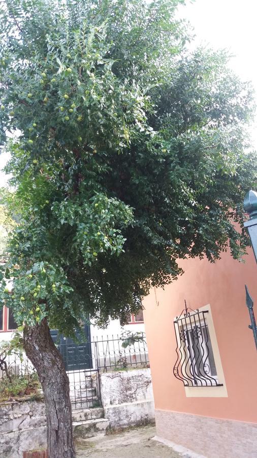 Anthi'S Cottage Kastellanoi  Екстер'єр фото